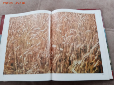 Москва кремль верховный совет ссср до 27.02.26 в 22:00 по мс - IMG_20260221_151516