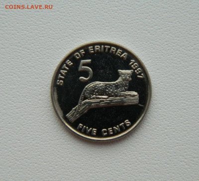 Эритрея 5 центов 1997 г. (Фауна) С рубля! до 26.02.26 - DSCN1339.JPG