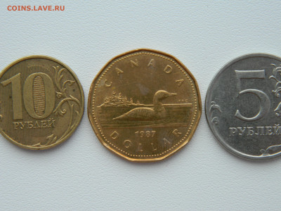 Канада 1 доллар 1997 г. (Фауна) С рубля! до 26.02.26 - DSCN1314.JPG