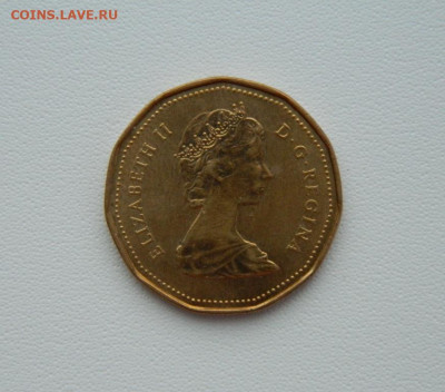 Канада 1 доллар 1997 г. (Фауна) С рубля! до 26.02.26 - DSCN1316.JPG