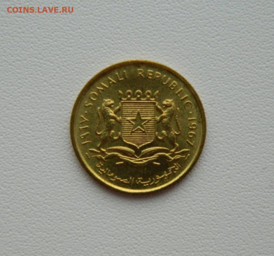 Сомали 5 чентезимо 1967 г. С рубля! до 26.02.26 - DSCN1373.JPG