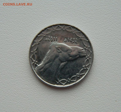 Алжир 2 динара 2011 г. (Фауна) С рубля! до 26.02.26 - DSCN1401.JPG