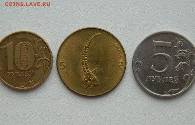 Словения 5 толаров 1992 г. (Фауна) С рубля! до 26.02.26 - DSCN1379.JPG