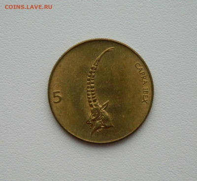 Словения 5 толаров 1992 г. (Фауна) С рубля! до 26.02.26 - DSCN1380.JPG