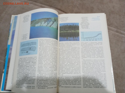 Природа мира водохранилища до 27.02.26 в 22:00 по мск - IMG_20260221_233006