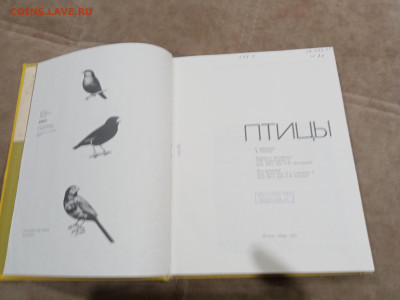 Птицы до 27.02.26 в 22:00 по мск - IMG_20260221_234752