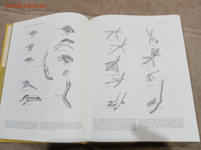 Птицы до 27.02.26 в 22:00 по мск - IMG_20260221_234739