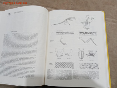 Птицы до 27.02.26 в 22:00 по мск - IMG_20260221_234717
