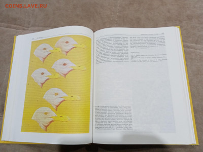 Птицы до 27.02.26 в 22:00 по мск - IMG_20260221_234656