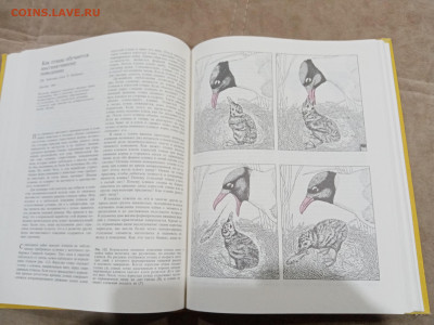 Птицы до 27.02.26 в 22:00 по мск - IMG_20260221_234632