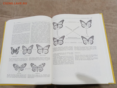 Птицы до 27.02.26 в 22:00 по мск - IMG_20260221_234546