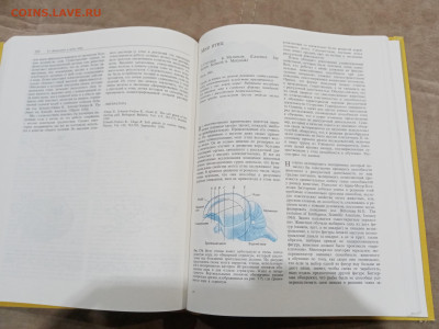 Птицы до 27.02.26 в 22:00 по мск - IMG_20260221_234103