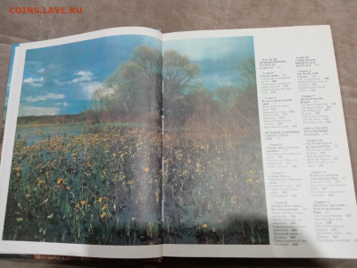 Природа моей страны до 27.02.26 в 22:00 по мск - IMG_20260222_000433