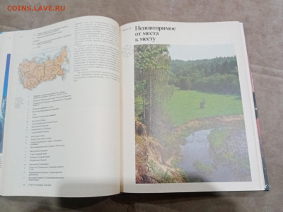 Природа моей страны до 27.02.26 в 22:00 по мск - IMG_20260222_000307