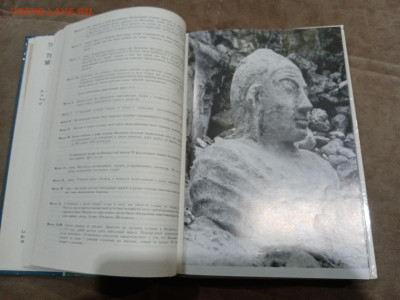 Мальдивская загадка до 27.02.26 в 22:00 по мск - IMG_20260222_002822