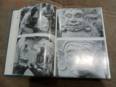 Мальдивская загадка до 27.02.26 в 22:00 по мск - IMG_20260222_002812