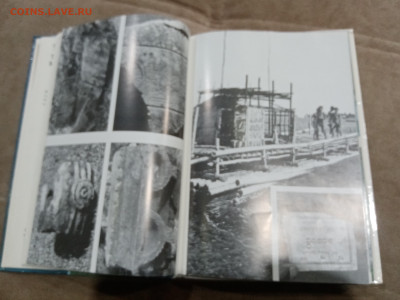 Мальдивская загадка до 27.02.26 в 22:00 по мск - IMG_20260222_002759