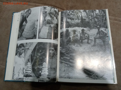 Мальдивская загадка до 27.02.26 в 22:00 по мск - IMG_20260222_002749