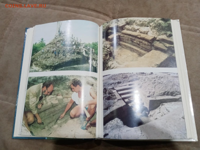 Мальдивская загадка до 27.02.26 в 22:00 по мск - IMG_20260222_002722