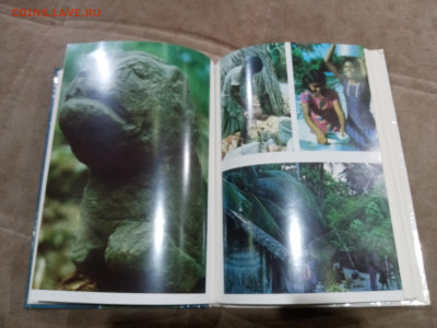 Мальдивская загадка до 27.02.26 в 22:00 по мск - IMG_20260222_002712