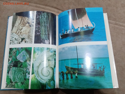 Мальдивская загадка до 27.02.26 в 22:00 по мск - IMG_20260222_002651