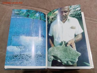 Мальдивская загадка до 27.02.26 в 22:00 по мск - IMG_20260222_002641