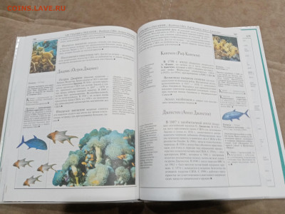 Америка и австралия до 27.02.26 в 22:00 по мск - IMG_20260222_003551