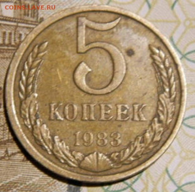 5 копеек 1983г.шт.3.1 до 26.02.26г. 22-00 - P2160353.JPG