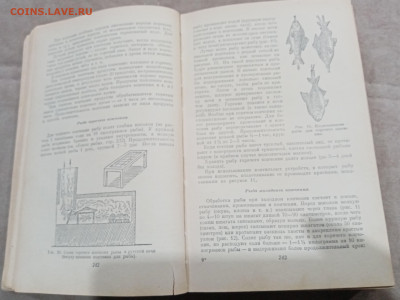 Домоводство 1958г до 27.02.26 в 22:00 по мск - IMG_20260222_014804