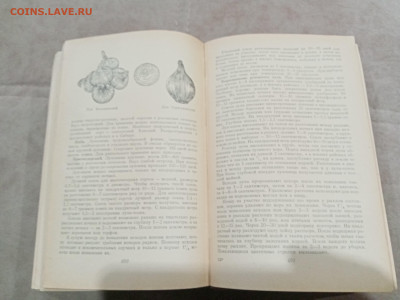 Домоводство 1958г до 27.02.26 в 22:00 по мск - IMG_20260222_014723