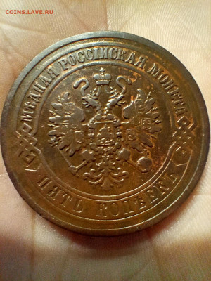 Макро - IMG20260222071653