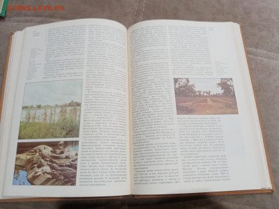 Страны и народы латинская Америка до 28.02.26 в 22:00 по мск - IMG_20260222_174603