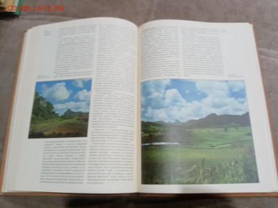 Страны и народы латинская Америка до 28.02.26 в 22:00 по мск - IMG_20260222_174551