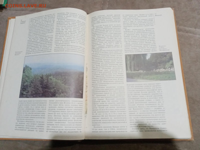 Страны и народы. Северная Америка до 28.02.26 в 22:00 по мск - IMG_20260222_180756