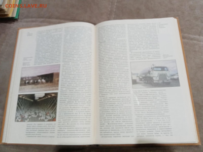 Страны и народы. Северная Америка до 28.02.26 в 22:00 по мск - IMG_20260222_180736