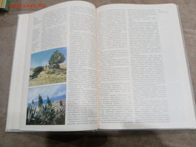 Страны и народы. Земля и человечество общий обзор до 28.02.2 - IMG_20260222_184356