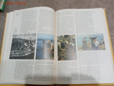 Страны и народы. Восточная и центральная Азия до 28.02.26 в - IMG_20260222_191132