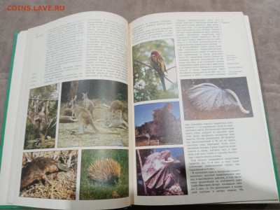 Страны и народы. Австралия и океания. Антарктида до 28.02.26 - IMG_20260222_193357