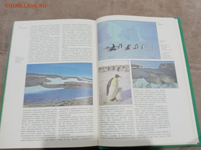 Страны и народы. Австралия и океания. Антарктида до 28.02.26 - IMG_20260222_193145