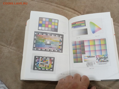 Все о цветокоррекции для фотографов до 28.02.26 в 22:00 по м - IMG_20260222_194446