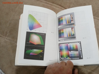 Все о цветокоррекции для фотографов до 28.02.26 в 22:00 по м - IMG_20260222_194440