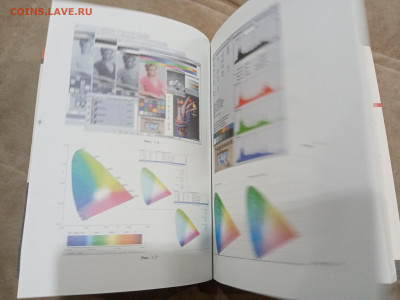 Все о цветокоррекции для фотографов до 28.02.26 в 22:00 по м - IMG_20260222_194422