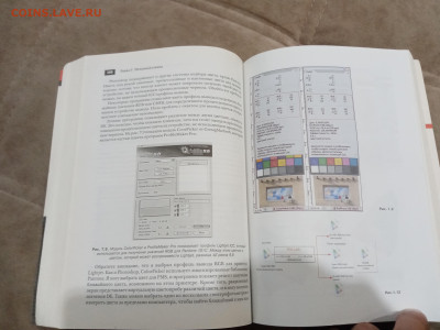 Все о цветокоррекции для фотографов до 28.02.26 в 22:00 по м - IMG_20260222_194416