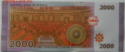 Сирия 2000 фунтов 2021 г. (Б. Асад) С рубля! до 28.02.26 - DSCN0830.JPG
