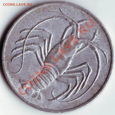 5 филсов 1973 г. Йемен до 07.03.12 г. в 19.00 - IMAGE0146.JPG