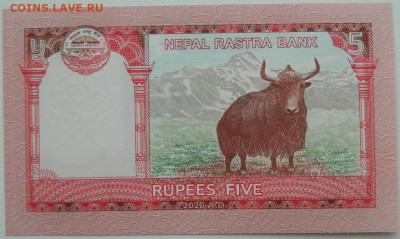 Непал 5 рупий 2020 г. С рубля! до 28.02.26 - DSCN1435.JPG