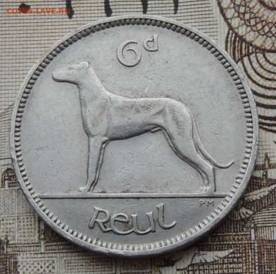 Ирландия 6 пенсов 1928 №2 до 1.03.2026 - Ирландия 6 пенсов 28.2.JPG