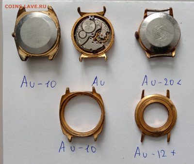 Корпуса часов Au - 1000053618