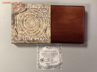 2дол 2017 Ниуэ Эволюция Земли Нуммулиты, Ag999,2oz, до 04.03 - Ю Эволюция Нуммулиты-4