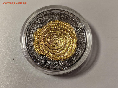 2дол 2017 Ниуэ Эволюция Земли Нуммулиты, Ag999,2oz, до 04.03 - Ю Эволюция Нуммулиты-2